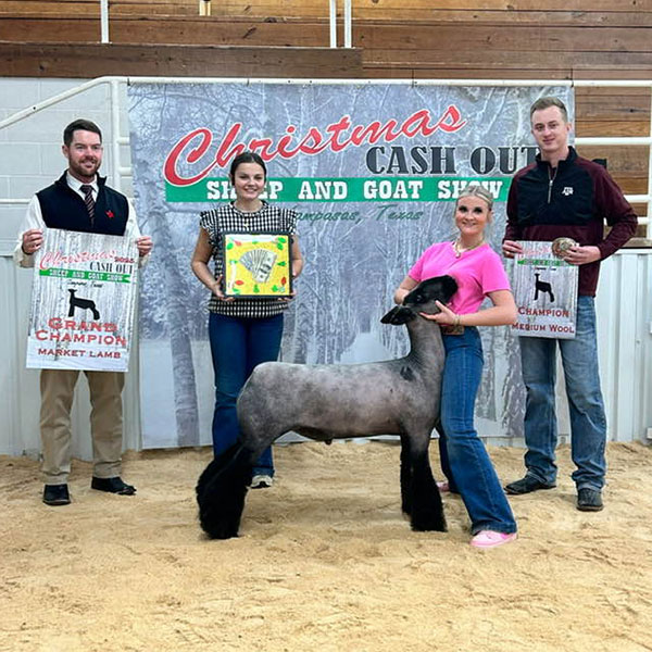 Grand Champion – Ring A&B – Christmas Cashout (TX)