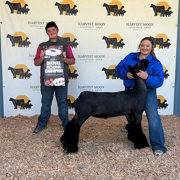 Reserve Champion Natural Colored Harvest Moon Livestock Show (CA)
