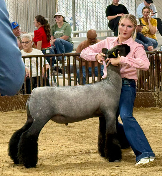 Reserve Natural Colored – T&D Meats Jackpot Show (OK)