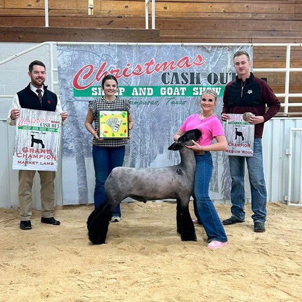 Grand Champion – Ring A&B – Christmas Cashout (TX)