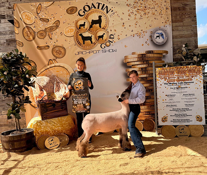 Supreme Female, Champion BlackFace Female – Goatin’ for Gold Jackpot Show (FL)