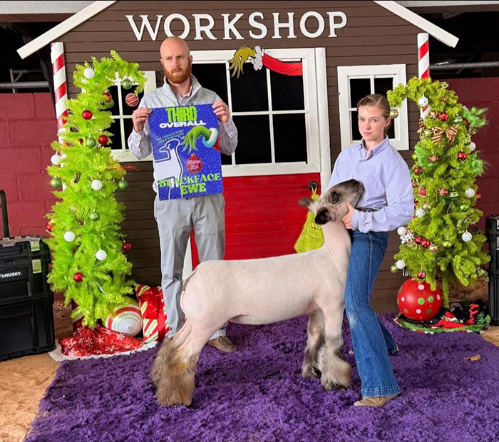 Third Overall BFX Ewe – Spirit of the Elf Show (FL)