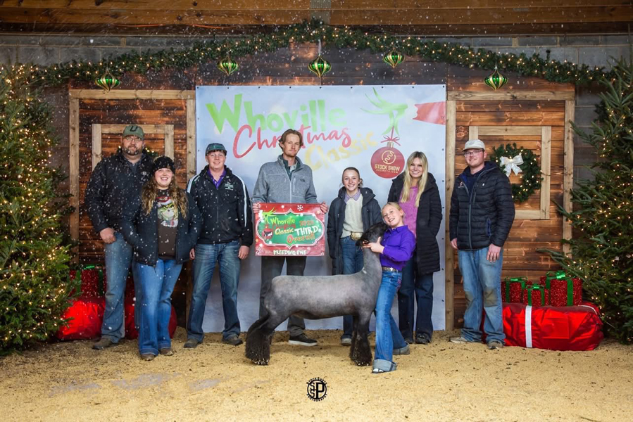 3rd Overall Commercial Ewe – Whoville Christmas Classic (NC)