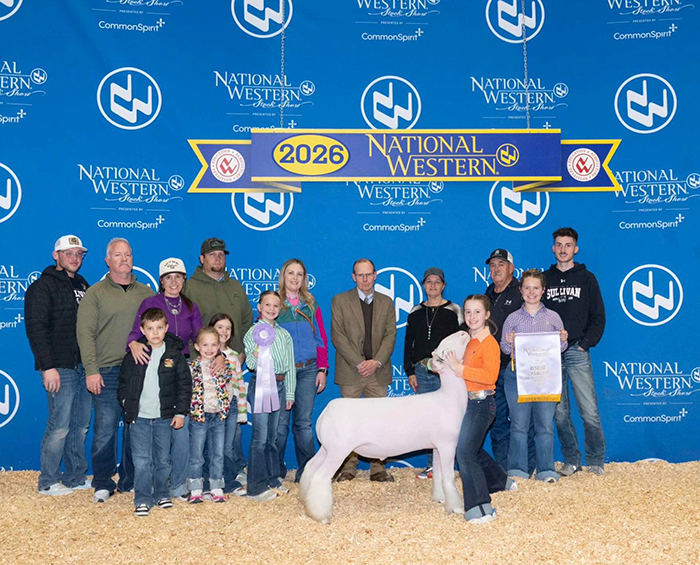 Reserve Champion Dorset Market Lamb – National Western Stock Show (CO)