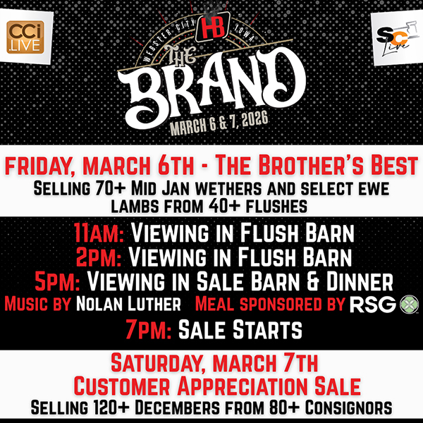 Fourth Overall Market Lamb Show B Fifth Overall Market Lamb Show A Champion WFX Market Lamb Show A&B PNW Livestock Expo (OR)