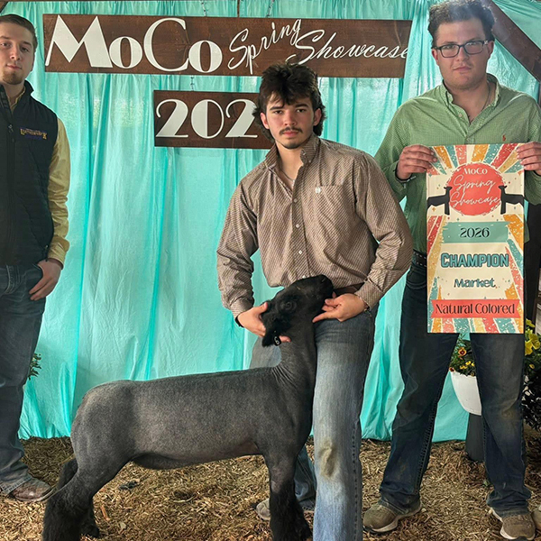 Fourth Overall Market Lamb Show B Fifth Overall Market Lamb Show A Champion WFX Market Lamb Show A&B PNW Livestock Expo (OR)