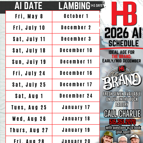 Fourth Overall Market Lamb Show B Fifth Overall Market Lamb Show A Champion WFX Market Lamb Show A&B PNW Livestock Expo (OR)