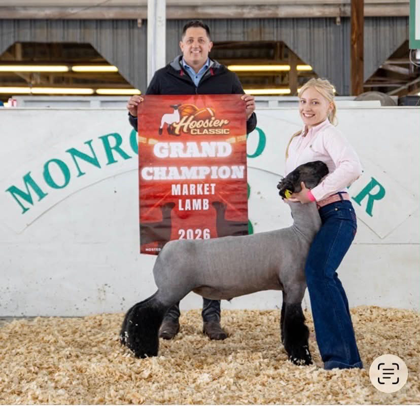 Grand Champion Market Lamb – Hoosier Classic (IN)