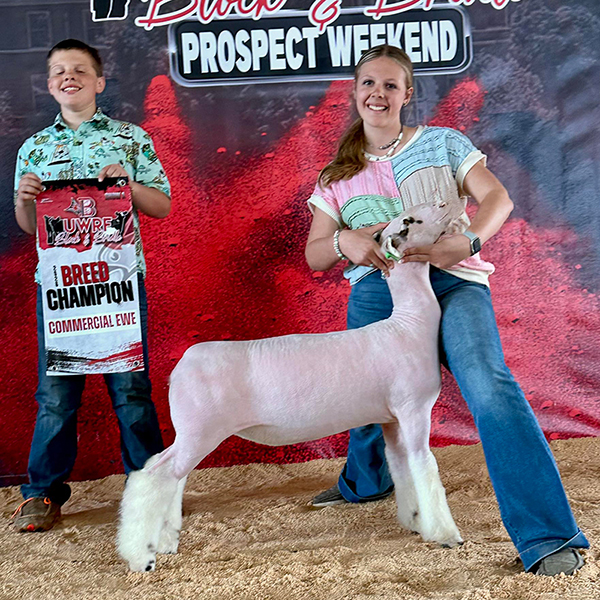 Fourth Overall Market Lamb Show B Fifth Overall Market Lamb Show A Champion WFX Market Lamb Show A&B PNW Livestock Expo (OR)