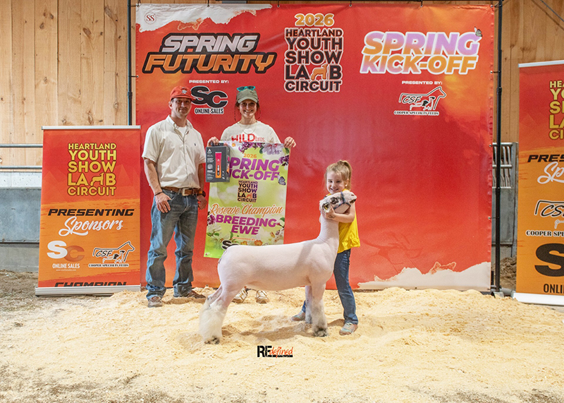 Reserve Champion Breeding Ewe – HYSLC Spring Kick Off (IA)