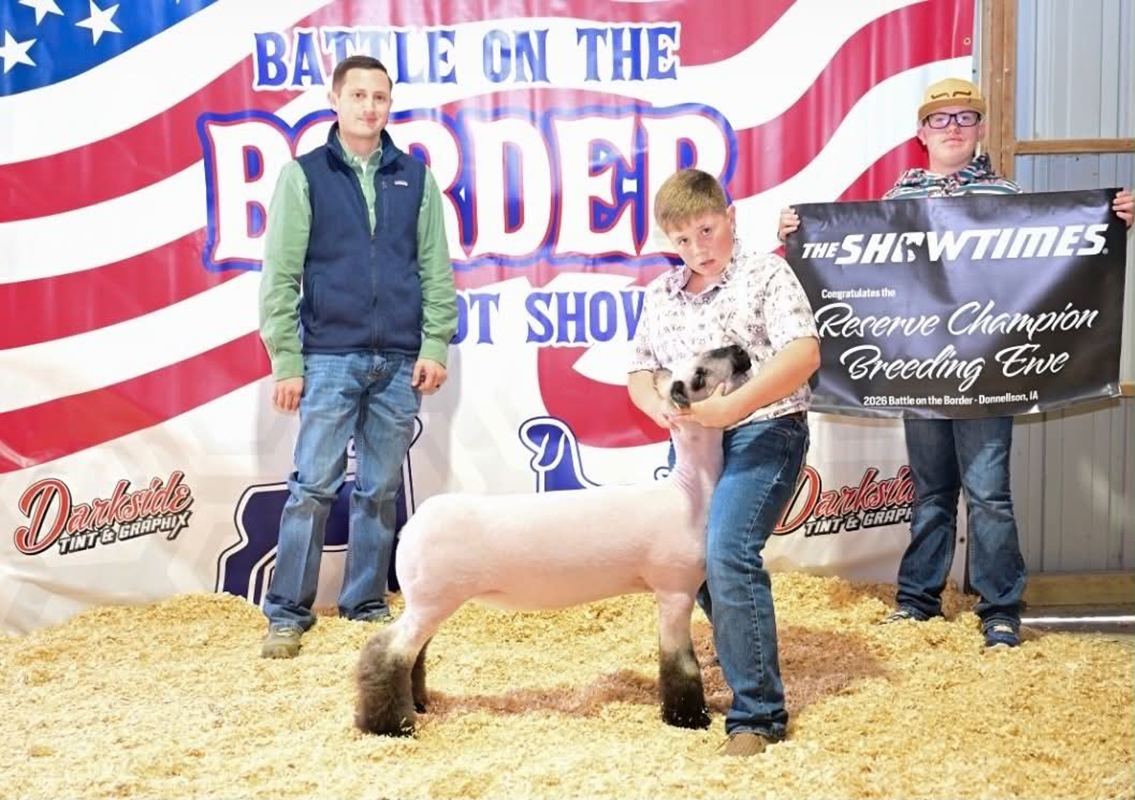 Reserve Champion Breeding Ewe – Battle on the Border (IA)