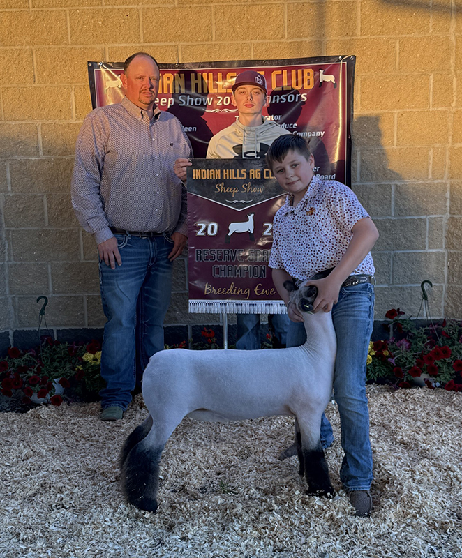 Reserve Champion Breeding Ewe – Indian Hills Ag Club Sheep Show (IA)