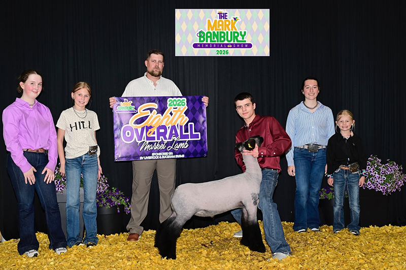 8th Overall Market Lamb, Reserve Natural Color Show A – The Mark Banbury Memorial Show (OH)