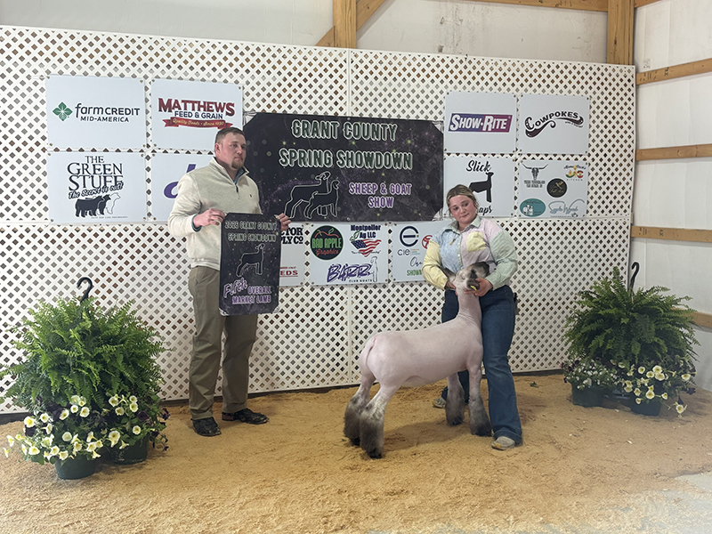 5th Overall Market Lamb – Grant County Spring Showdown (IN)