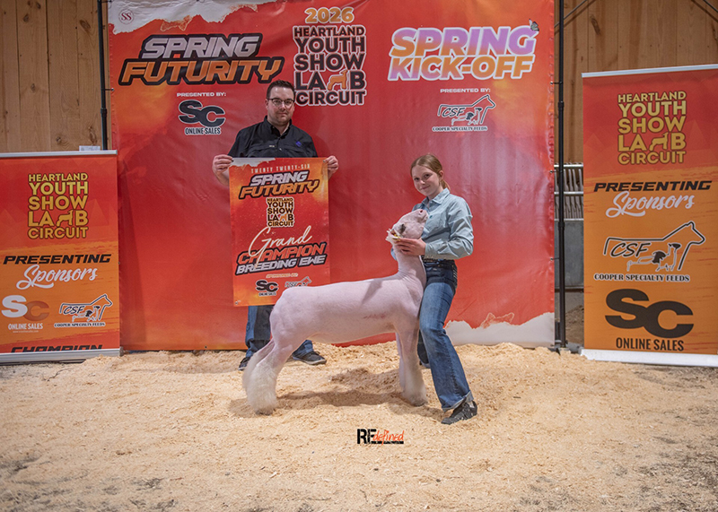 Grand Champion Breeding Ewe – HYSLC Spring Futurity (IA)