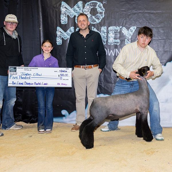 Fourth Overall Market Lamb Show B Fifth Overall Market Lamb Show A Champion WFX Market Lamb Show A&B PNW Livestock Expo (OR)