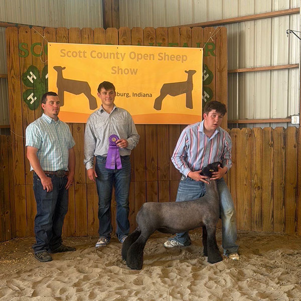 Fourth Overall Market Lamb Show B Fifth Overall Market Lamb Show A Champion WFX Market Lamb Show A&B PNW Livestock Expo (OR)