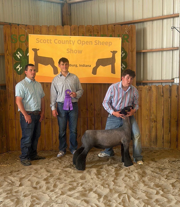 Grand Champion Market Lamb – Scott County Open Show (IN)