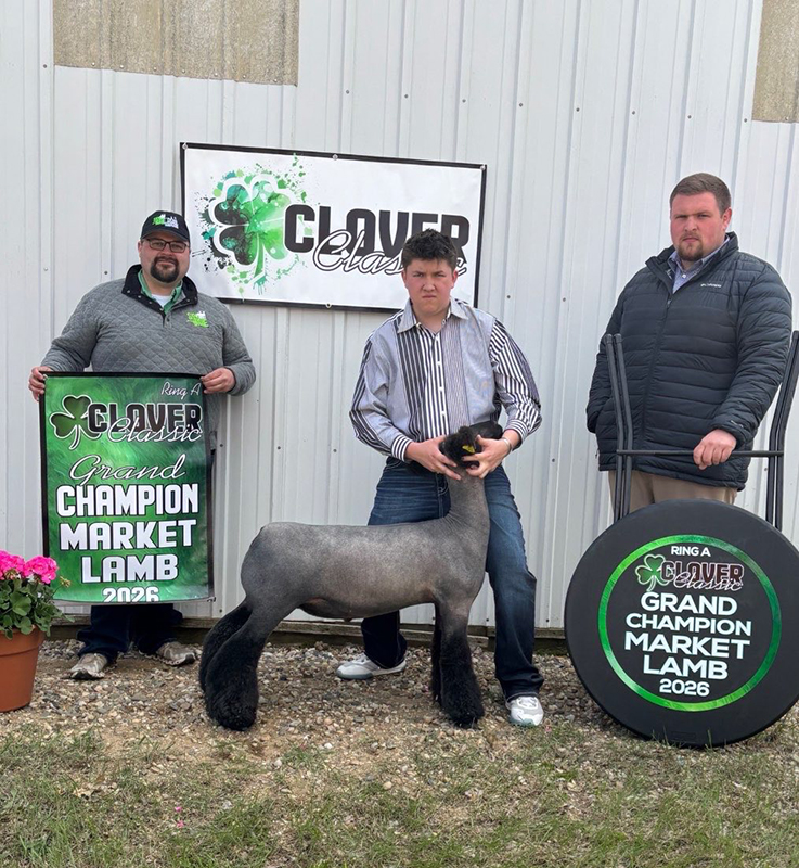 Grand Champion Market Lamb – Clover Classic (MI)