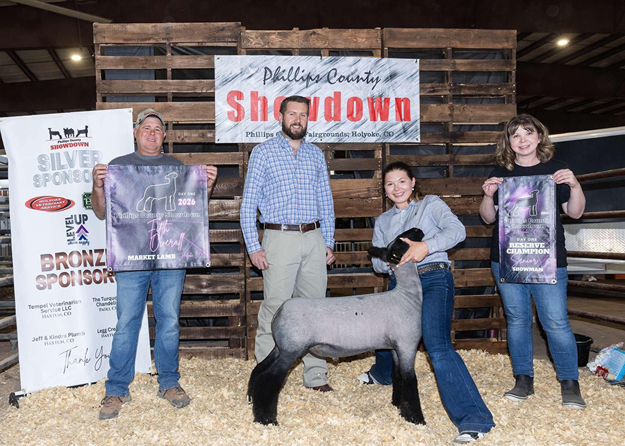 5th Overall Market Lamb – Phillips County Showdown (CO)