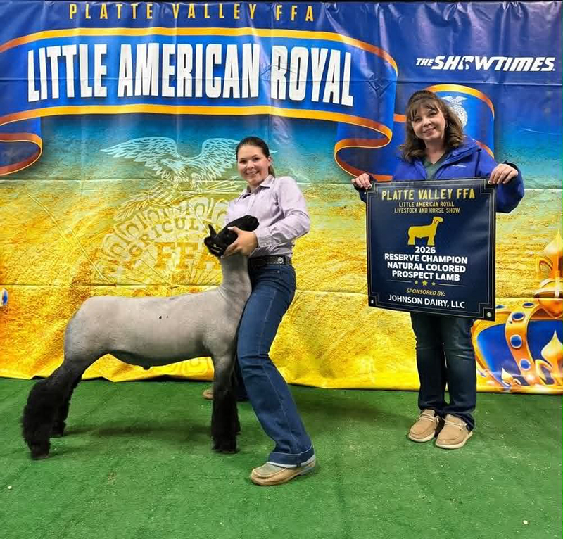 Reserve Natural Colored Prospect – Platte Valley Little American Royal (NE)