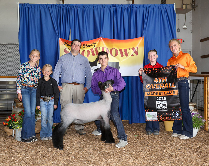 4th Overall Market Lamb, Champion Natural Colored – Hancock County Showdown (IN)