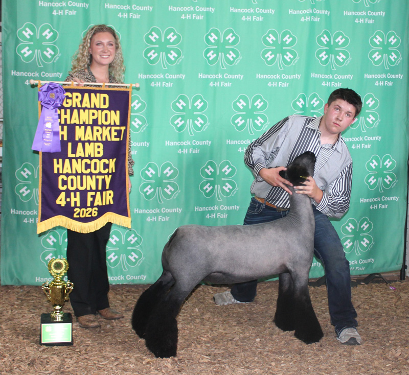 Grand Champion Market Lamb – Hancock County Fair