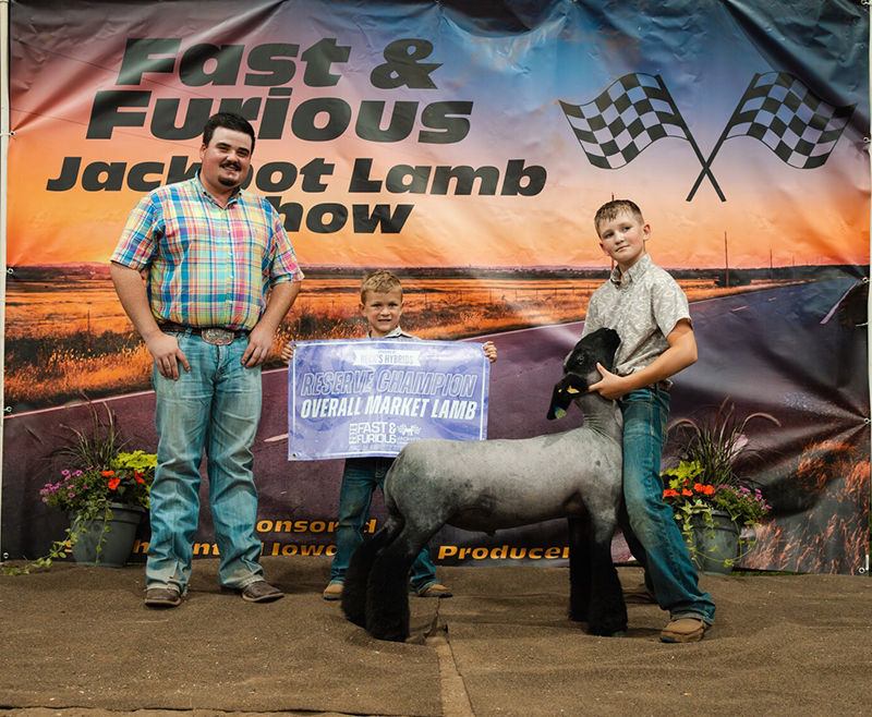 Reserve Champion Overall Market Lamb – Fast & Furious Jackpot (IA)