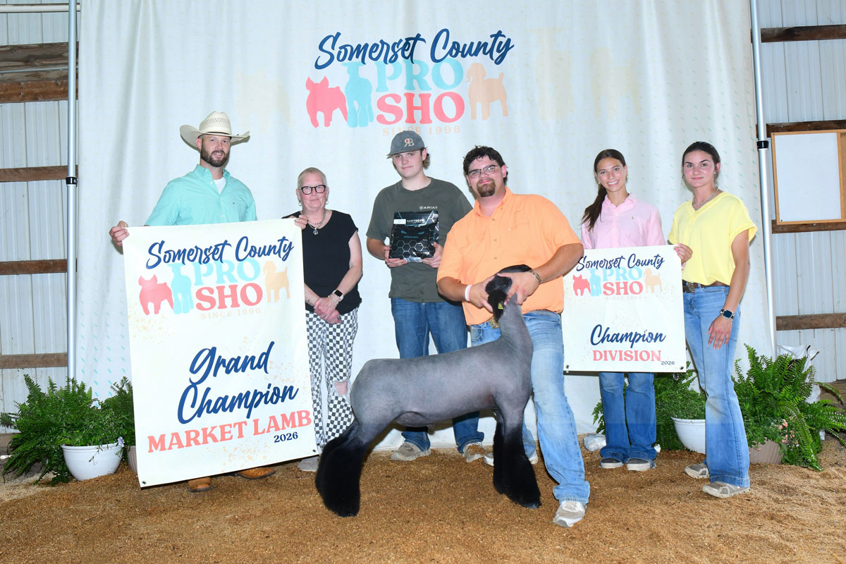 Grand Champion Market Lamb – Somerset County Pro Sho