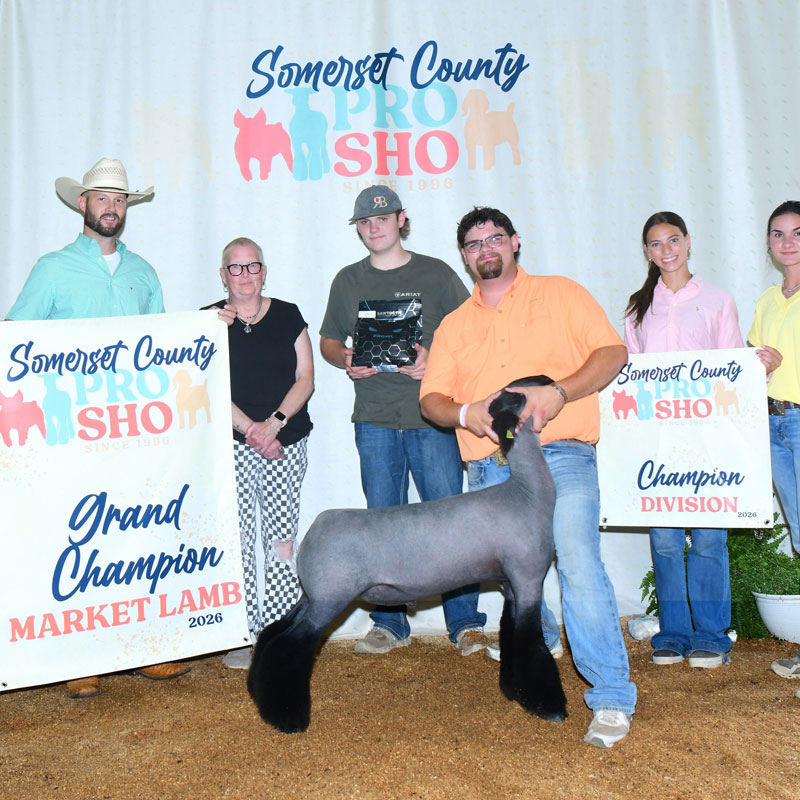Fourth Overall Market Lamb Show B Fifth Overall Market Lamb Show A Champion WFX Market Lamb Show A&B PNW Livestock Expo (OR)