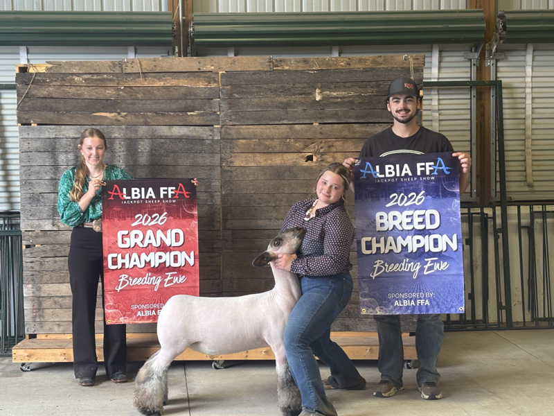 Grand Champion Breeding Ewe – Albia FFA Jackpot Sheep Show