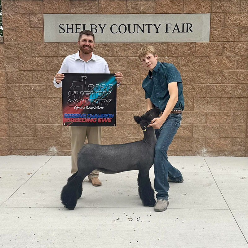 Reserve Champion Breeding Ewe – Shelby County Open Sheep Show