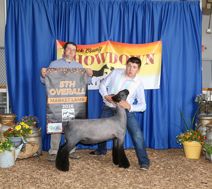 5th Overall Market Lamb, Reserve Champion Natural Colored – Hancock County Showdown (IN)