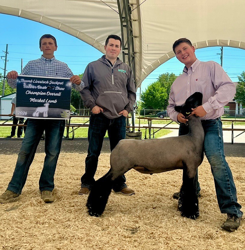 Champion Overall Market Lamb – Thumb Livestock Jackpot Show (MI)