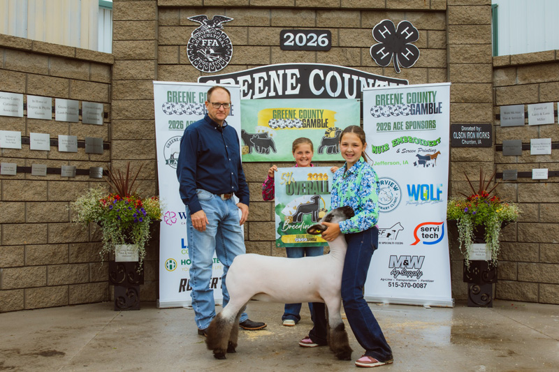 5th Overall Breeding Ewe – Green County Gamble