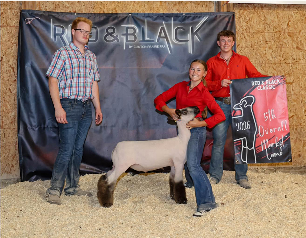 5th Overall Market Lamb, Champion Cross – Red and Black Classic (IN)