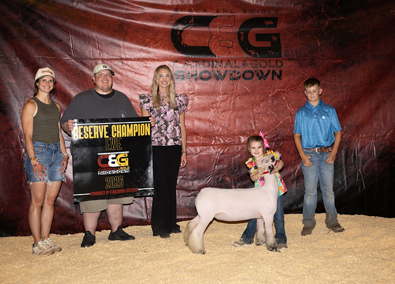 Reserve Champion Ewe – Cardinal & Gold Showdown (IA)