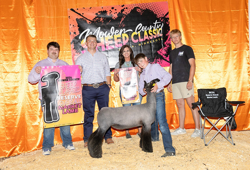 Reserve Overall Market Lamb – Mower County Sheep Classic (MN)