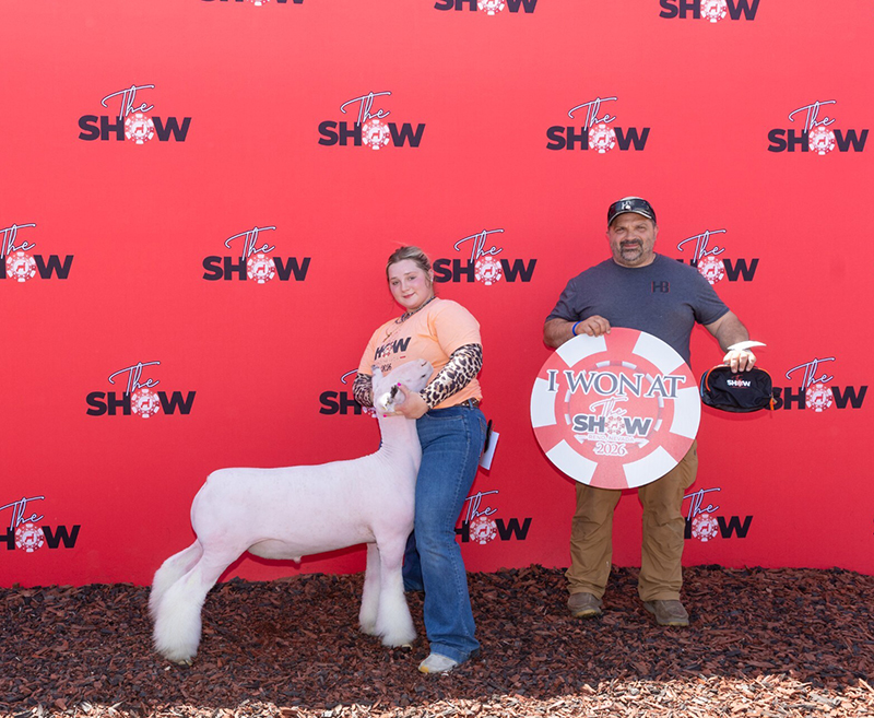 Reserve WFX Market Lamb – The Show Reno (NV)