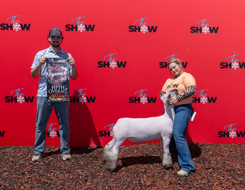 5th Overall Hamp Market Lamb – The Show Reno (NV)
