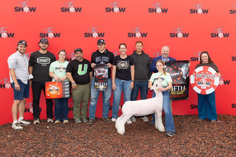 5th Overall Ewe, Champ WFX – The Show Reno (NV)