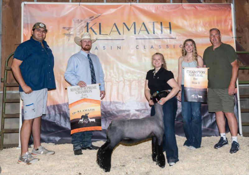 Reserve Supreme Ewe – Show B, Champion Natural Ewe – Show B – Klamath Basin Classic (OR)