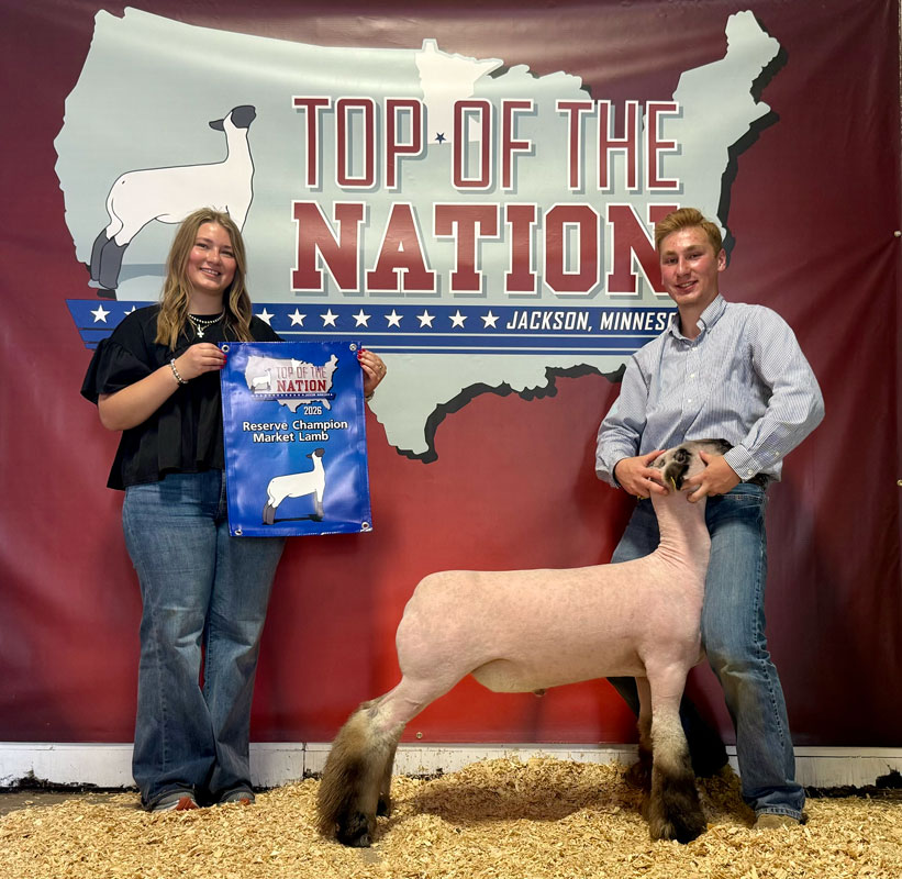 Reserve Champion Market Lamb – Top of the Nation