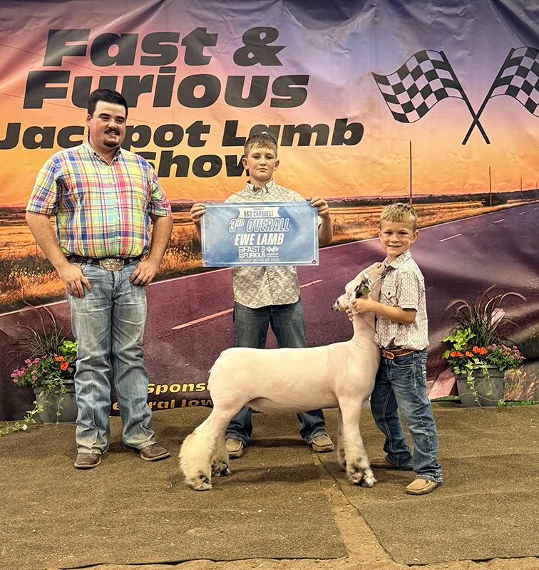 Champion WBI Ewe – Fast & Furious Jackpot (IA)