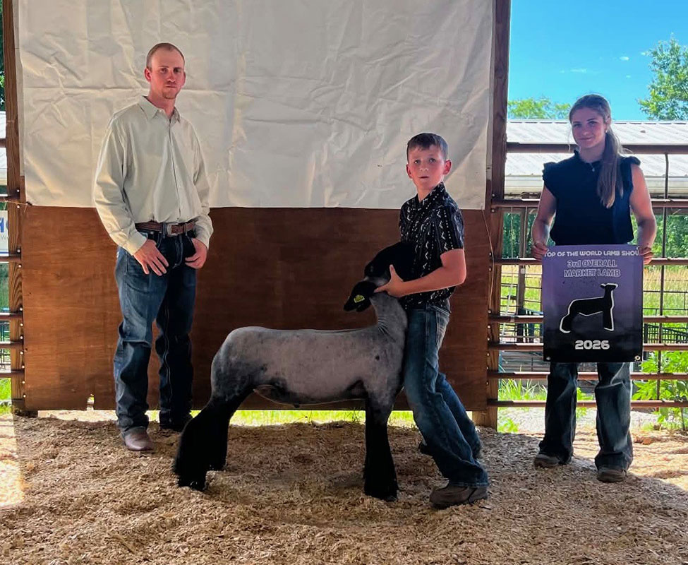 3rd Overall Market Lamb – Top of the World Lamb Show