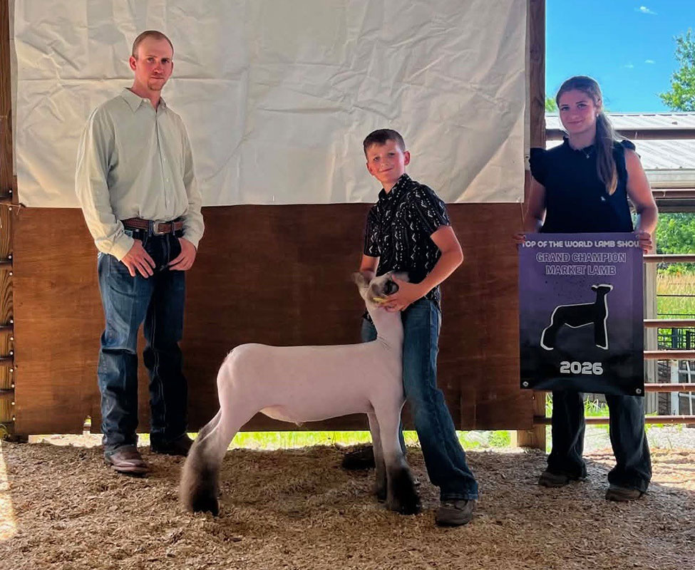 Grand Champion Market Lamb – Top of the World Lamb Show