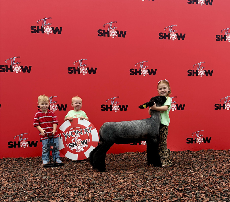 Class Winner – The Show Reno (NV)