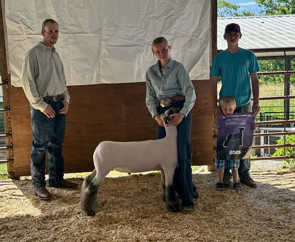 5th Overall Market Lamb – Top of the World Lamb Show