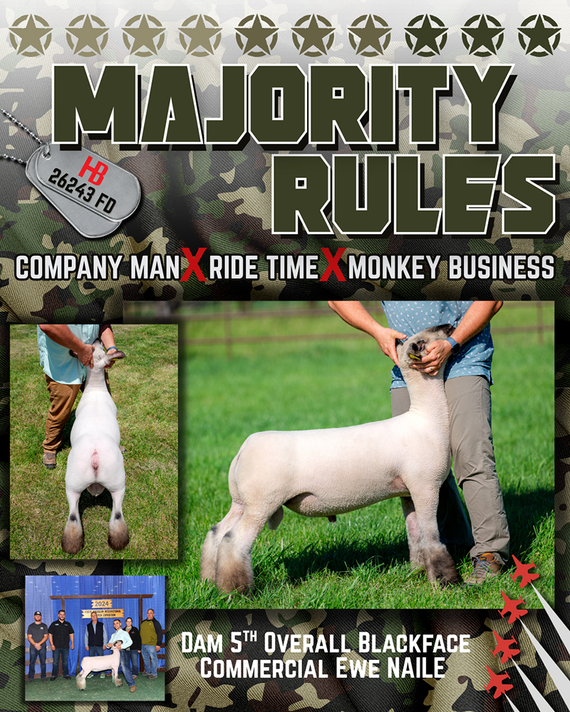 Majority Rules Majority Rules
