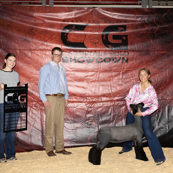 Fourth Overall Market Lamb Show B Fifth Overall Market Lamb Show A Champion WFX Market Lamb Show A&B PNW Livestock Expo (OR)